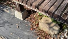 シロアリ　北九州市