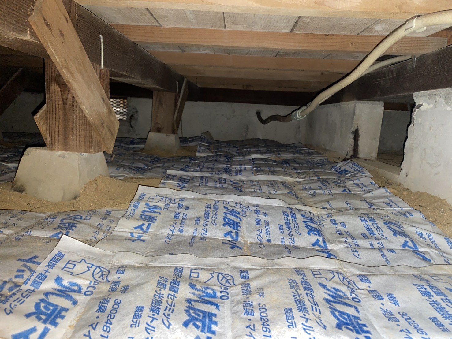 シロアリ 北九州市