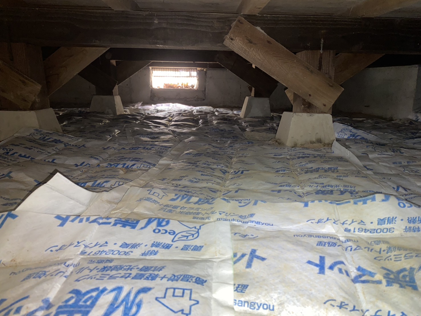 シロアリ 北九州市