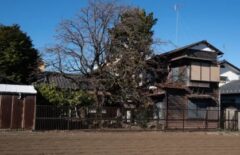 ネズミ　遠賀郡