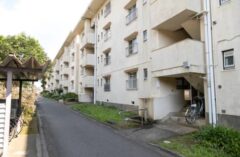 ハト　団地　宗像市