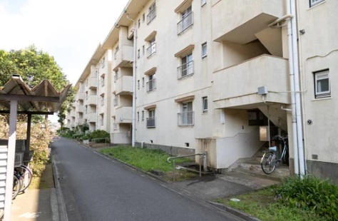 ハト 団地 宗像市