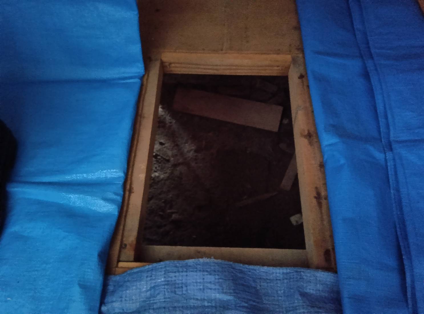 シロアリ駆除 福岡市