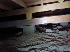 シロアリ駆除　福岡市