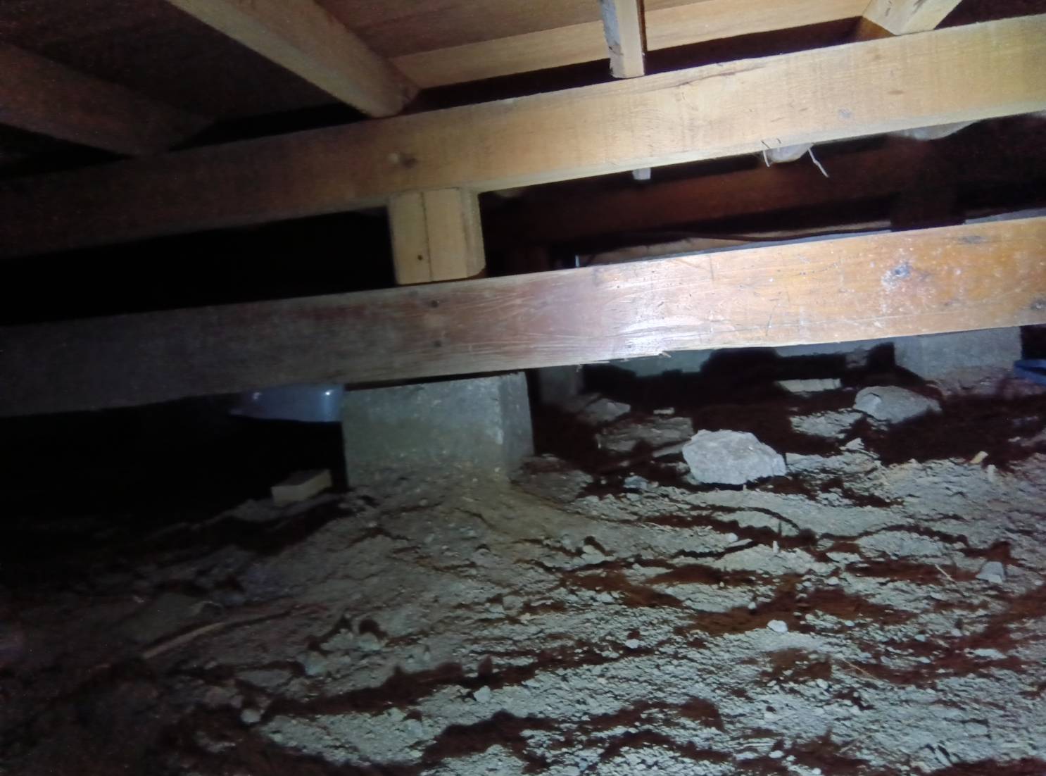 シロアリ駆除 福岡市