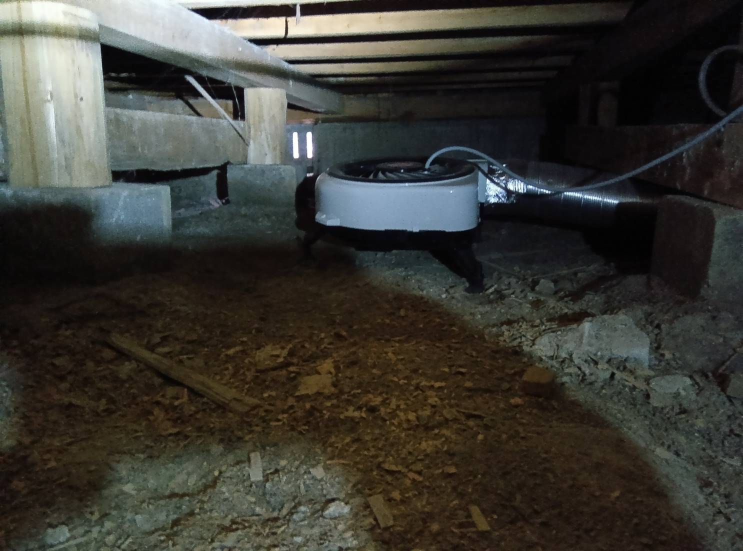 シロアリ駆除 福岡市