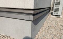 ムカデ駆除 福津市