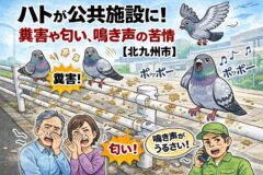 ハト　公共施設　北九州市
