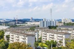 ハト 団地 小倉北区
