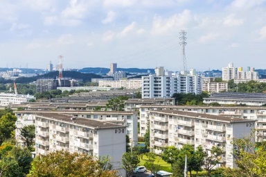 ハト 団地 小倉北区