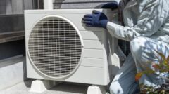 ハト 団地 小倉北区