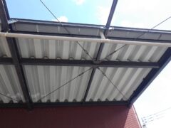 ハト　店　福岡市東区