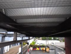 ハト　店　福岡市東区