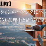 【久山町】マンションのベランダにハトが！放置NGな理由と確実な撃退法