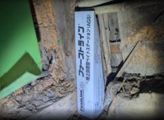 イエシロアリ　飯塚市