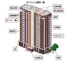 ハト マンション 飯塚市
