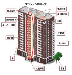 ハト マンション 飯塚市