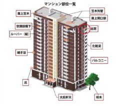 ハト マンション 飯塚市