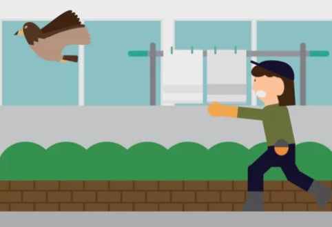 ハト マンション 飯塚市