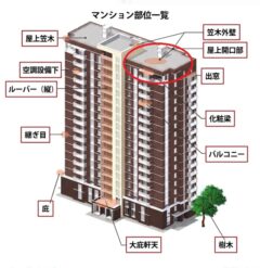 ハト マンション 飯塚市