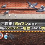 古賀市｜鳩のフン被害でお店のシャッターや屋根が汚れる原因と対策