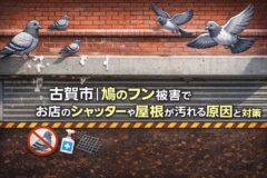 ハト 店 古賀市