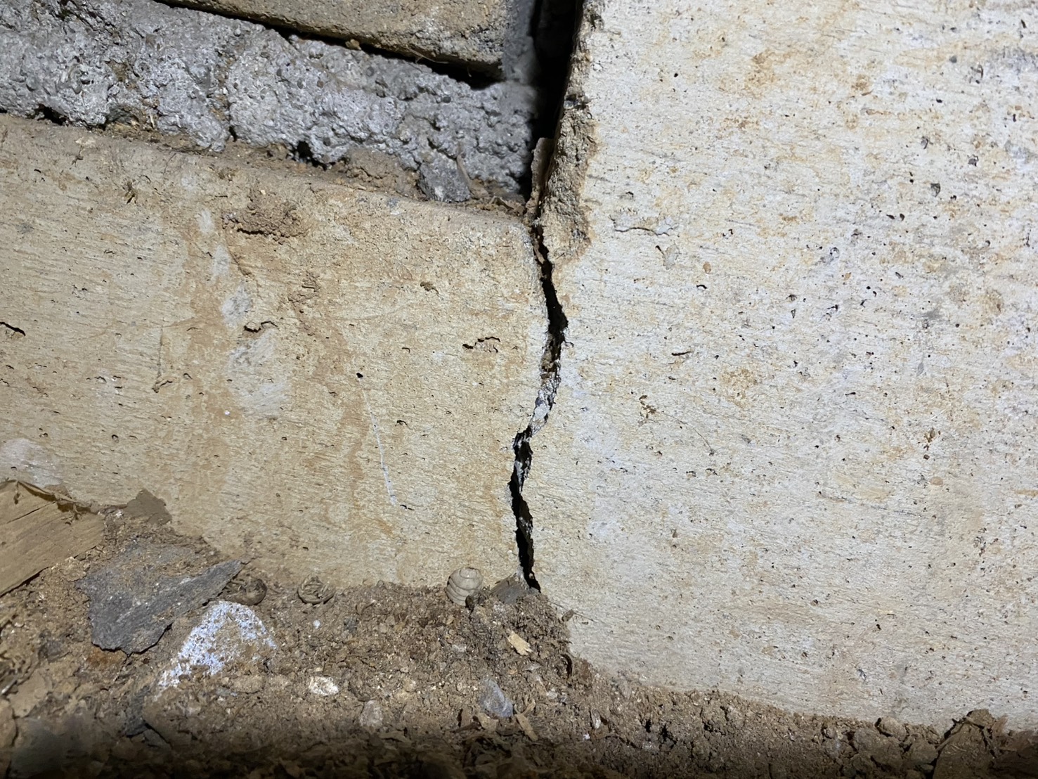 シロアリ 再消毒 福岡市南区