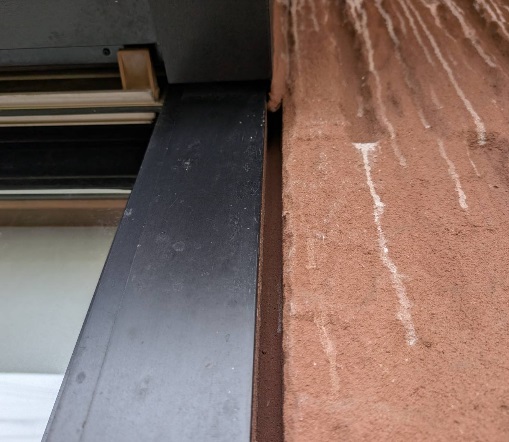 コウモリ駆除　水巻町