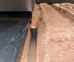 コウモリ駆除　水巻町