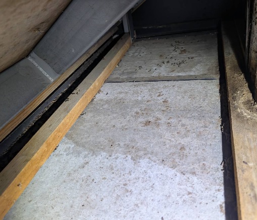 コウモリ駆除　水巻町