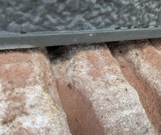 コウモリ駆除　水巻町