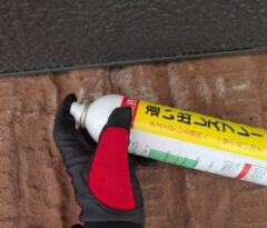 コウモリ駆除　水巻町