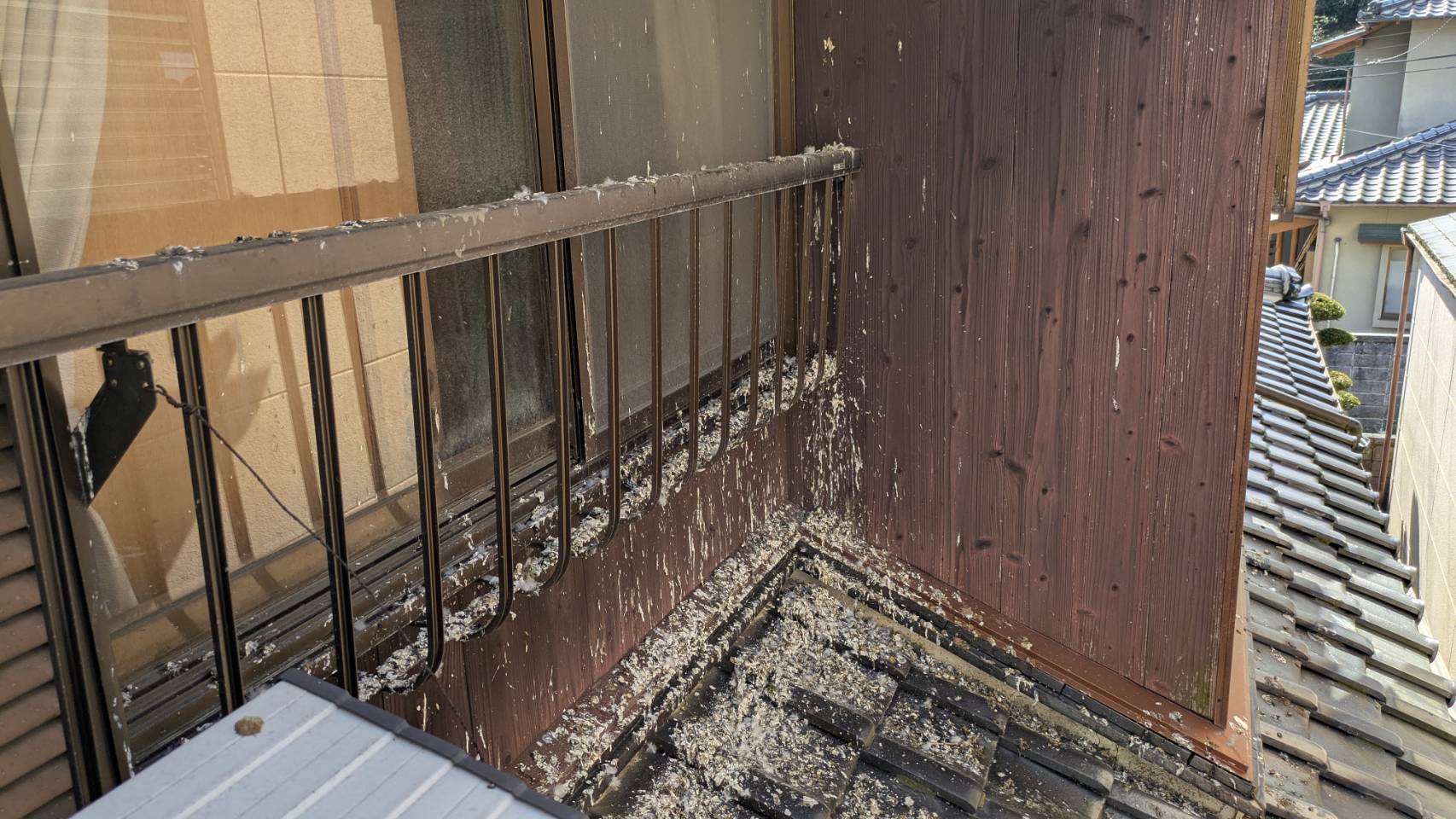 ハト 一軒家 中間市