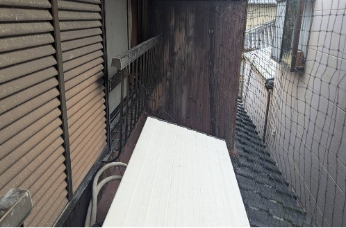 ハト 一軒家 中間市