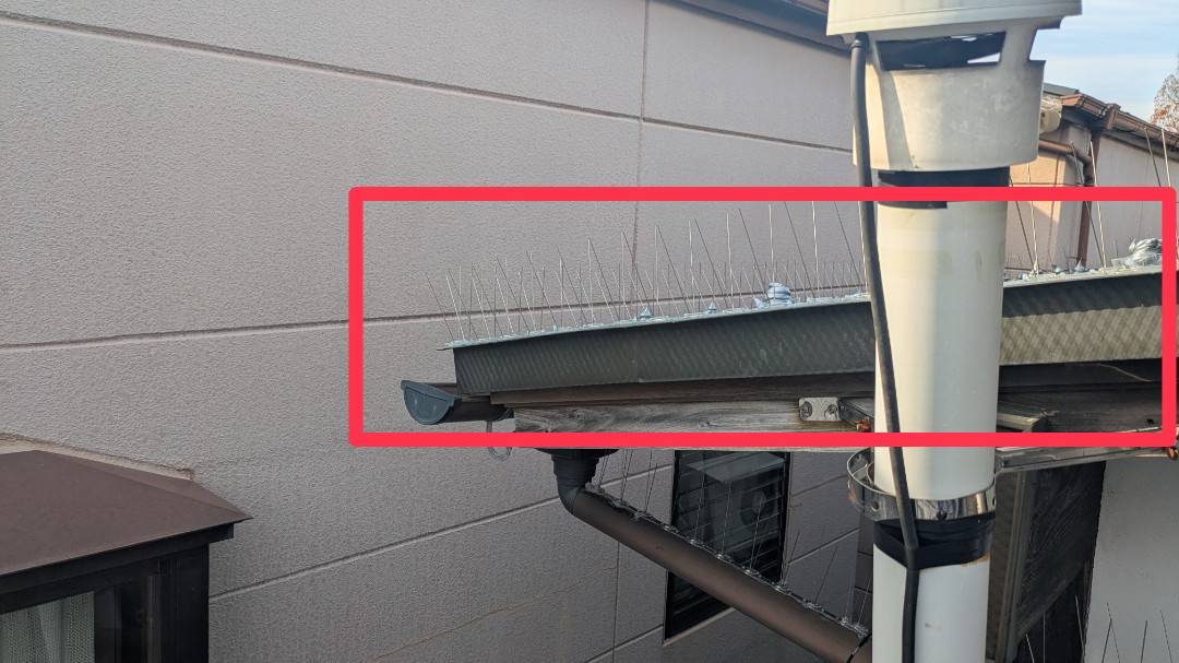 ハト 一軒家 中間市