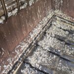 【中間市】一軒家（空き家）でのハト駆除及び糞の清掃事例