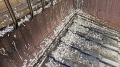 ハト 一軒家 中間市