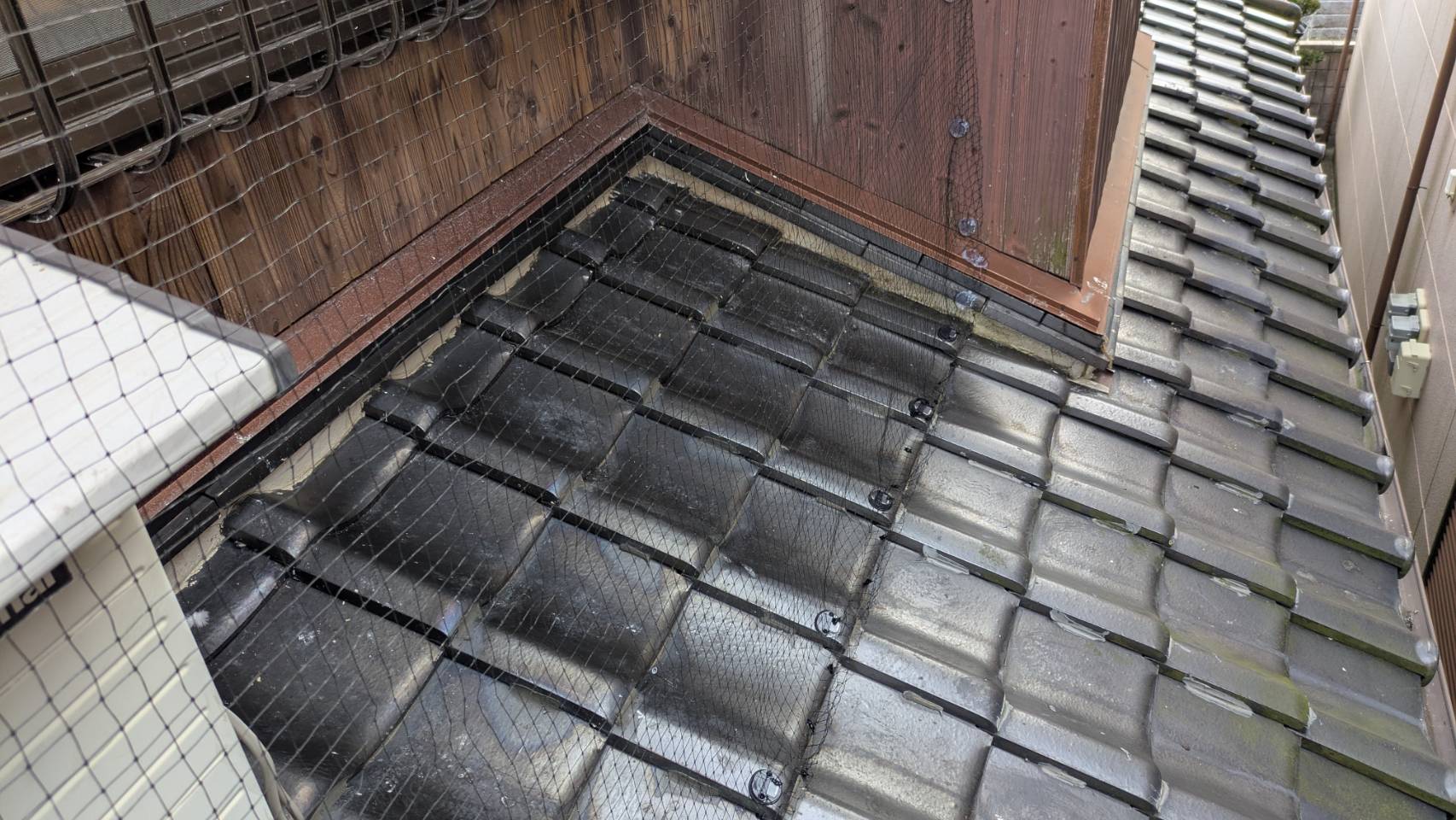 ハト 一軒家 中間市