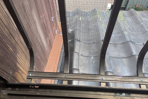 ハト 一軒家 中間市