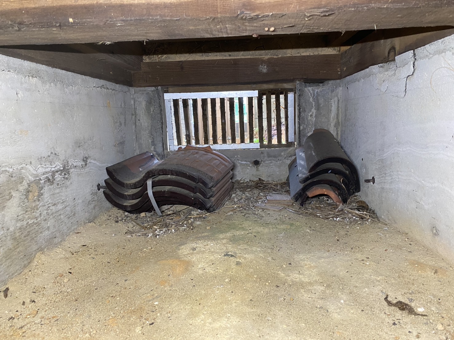 ネズミ駆除 飯塚市