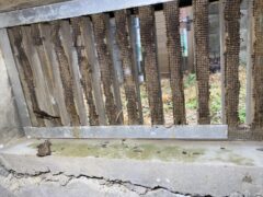 ネズミ駆除 飯塚市