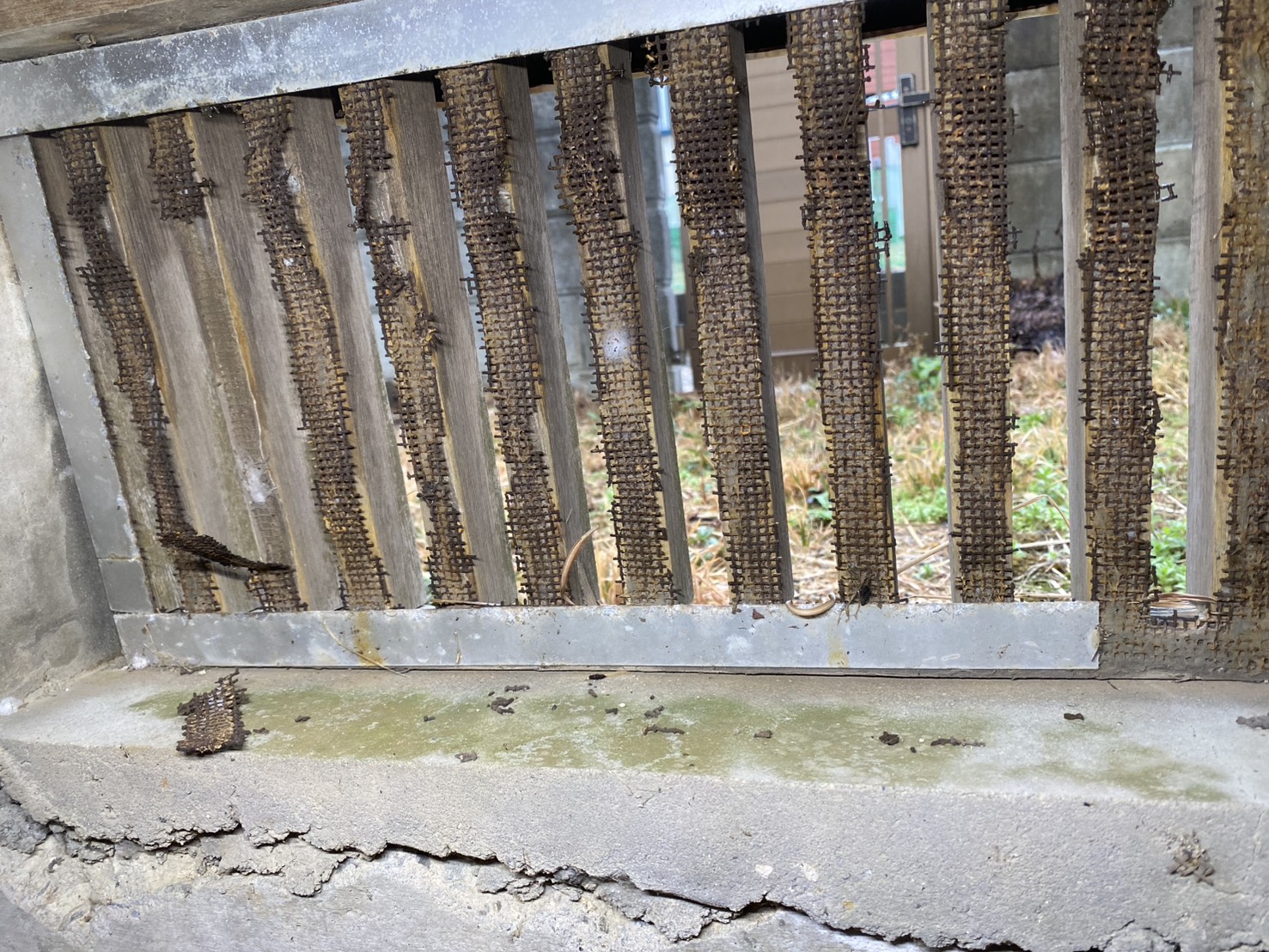 ネズミ駆除 飯塚市