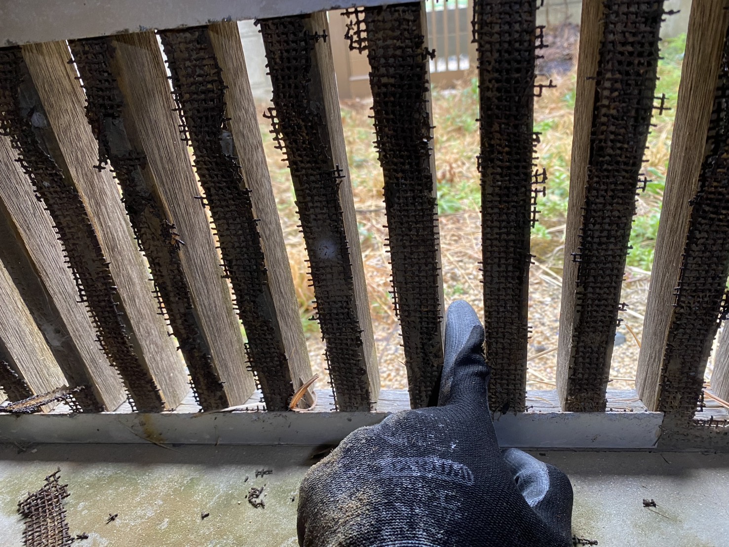 ネズミ駆除 飯塚市