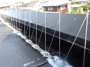 ハト 団地 宗像市