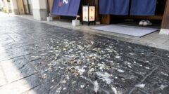 篠栗町の飲食店入り口前の舗装道路に、ハトのフンや羽が大量に付着し、乾燥して不衛生な状態。