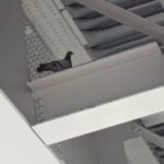 【新宮町】商業施設（店舗）でのハト駆除事例。費用と相場について