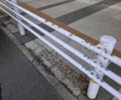 芦屋町のハトのフン被害