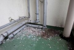 ハト 物流センター 北九州市