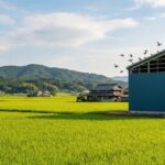 ハト 倉庫 筑前町