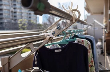 ハト駆除　若宮市